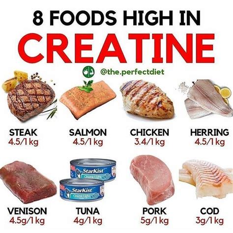 10 Best Create High.